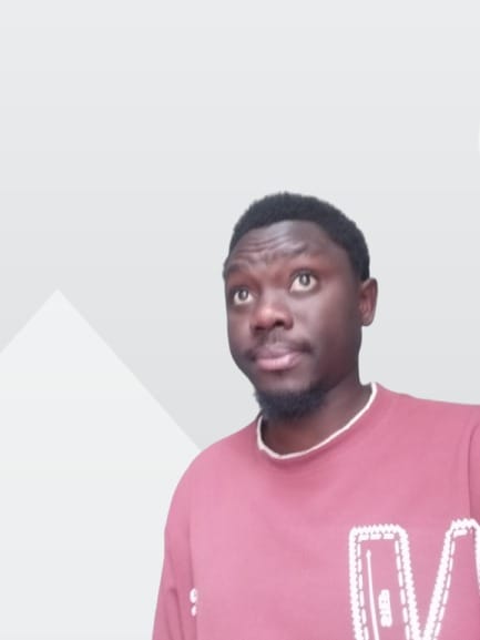 Meneja wa Teknolojia